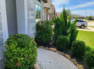 Bush Trimming by Briana Rivera for Heath C. in Richmond, TX