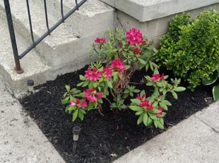 Mulching by Sylvin Fitchpatrick for Zach L. in Columbus, OH