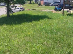 Heather G.'s Lawn Maintenance service result