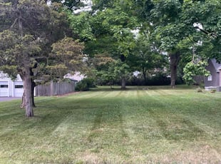 Nathan H.'s Lawn Maintenance service result