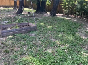 Cleanups by Blayke Elder for Colton W. in Spring, TX