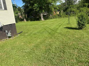 Brandon M.'s Lawn Service service result