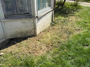 Cleanups by Justin Dietrich for Eleni K. in Youngstown, OH