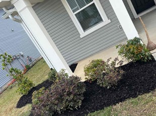 Bush Trimming by Carlos Gomez for Danielle M. in Fuquay-Varina, NC