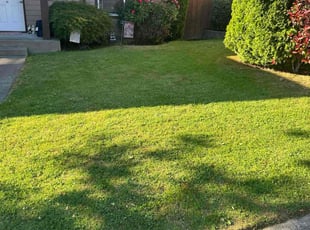 Randy M.'s Lawn Service service result