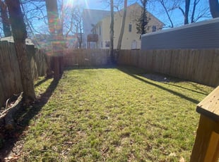 Leaf Removal by Caree Keith for Ashley R. in Washington, DC