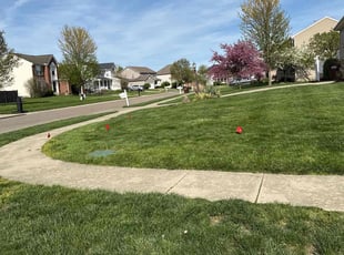 Trustcia P.'s Lawn Service service result