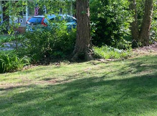Cleanups by Conner Meadows for Martha C. in Atlanta, GA