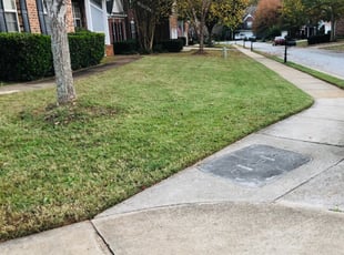 Bush Trimming by Jeffrey DeYoung for Forrest V. in Simpsonville, SC