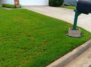Doreen R.'s Lawn Care service result
