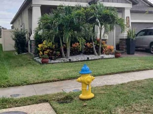 Tony P.'s Lawn Maintenance service result