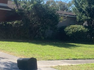 Bush Trimming by Alain Beckfordxx for Gage R. in Tampa, FL