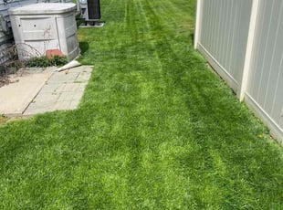 Karen S.'s Yard Cutting service result