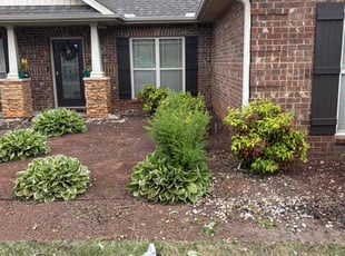 Bush Trimming by Maggie Prinkey for Claudia T. in Huntsville, AL