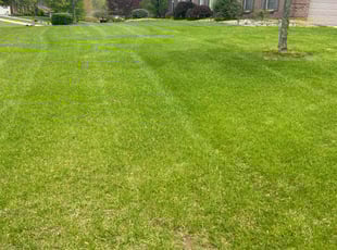 Richard B.'s Yard Cutting service result
