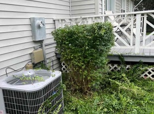 Bush Trimming by Valera Swearngin for Brittany H. in Chesapeake, VA