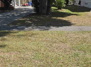 Leaf Removal by Joseph Durgin for Trung N. in Hanahan, SC