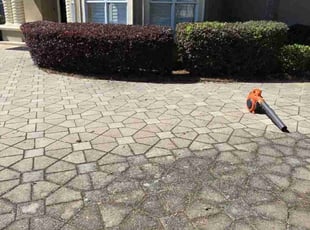 Bush Trimming by Rebacca & David Redman for Dennis C. in Panama City, FL
