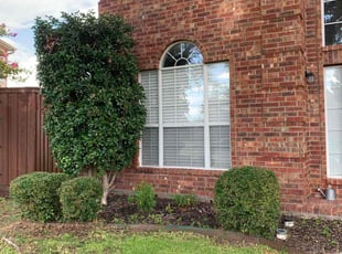 Bush Trimming by Juan Garcia for Rachel H. in Rowlett, TX