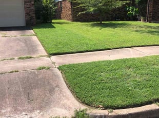 Tina M.'s Lawn Service service result
