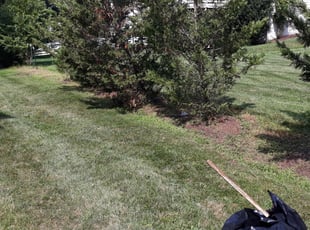 Weeding by Mark Enge for Brett D. in Leesburg, VA