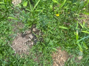 Cleanups by Joseph Smith for Tedd S. in Essex, MD
