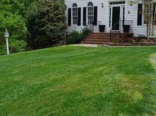Ellen W.'s Lawn Care service result