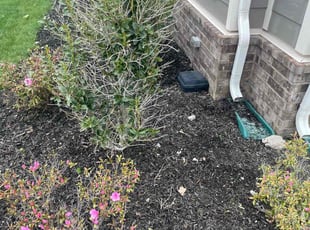 Weeding by Lora Thoren for Marshall H. in Franklin, TN