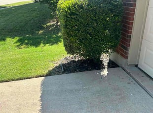 Weeding by Osmin Salvador for Andres G. in Wylie, TX