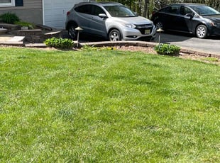 Leaf Removal by David Haberthur for Gladys S. in Sussex, NJ