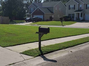 Angela W.'s Lawn Maintenance service result