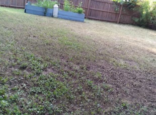 Cleanups by Lucio Gonzales for Alec P. in Austin, TX