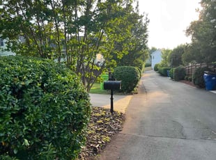 Bush Trimming by Green Juniper for Laura C. in Raleigh, NC