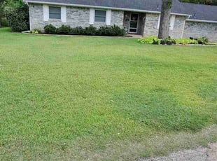 Joel M.'s Yard Cutting service result