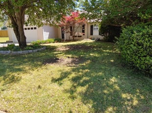 Cleanups by Chris Sizemore for Andrea M. in Simpsonville, SC