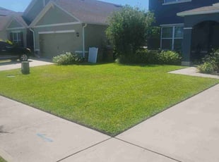 Scarlett M.'s Lawn Mowing service result
