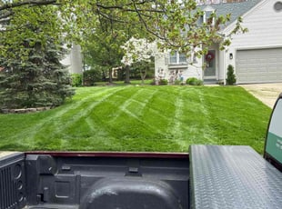 sasha w.'s Lawn Mowing service result