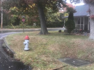 Leaf Removal by Margarito Cardona for Robert M. in Vienna, VA