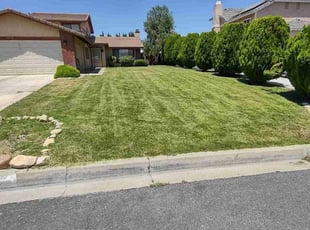 Josh l.'s Lawn Service service result