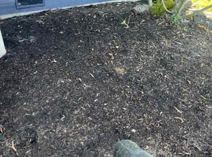 Leaf Removal by Marco Saquimux for Matthew C. in Bremerton, WA