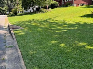 Anetha L.'s Lawn Maintenance service result