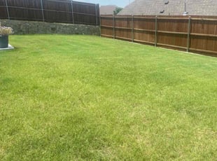 Miguel A.'s Grass Cutting service result