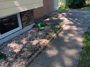 Cleanups by Kevin Rhyne for Reilly G. in Madison, WI