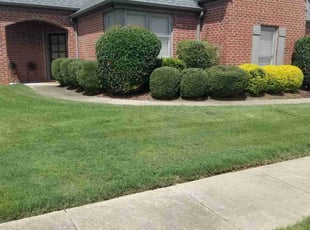 Leighton B.'s Lawn Mowing Service service result