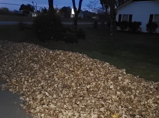 Leaf Removal by Anthony Massey for Cameron W. in Greensboro, NC