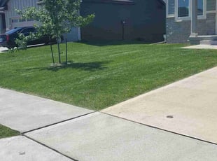 James S.'s Lawn Mowing service result