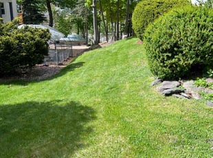 Lannie B.'s Lawn Maintenance service result