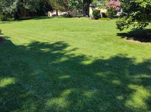 Debra B.'s Grass Cutting service result