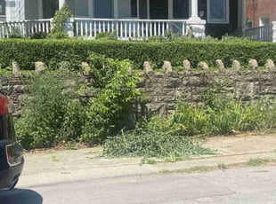 Bush Trimming by Donny Jones Jr for Hannah M. in Kansas City, MO