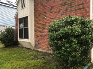 Bush Trimming by Sergio Becerra for Addie S. in Mesquite, TX